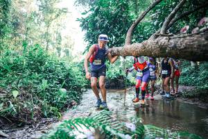 BIB: 
                            <button type="button" onclick="openModal(25443826)" class="btn btn-primary btn-sm float-right btn-popup" data-toggle="modal" data-target=".modal-high-quality">
                        <i class="fas fa-shopping-cart"></i> Add to Cart
                    </button>
                                            <button type="button" onclick="isThisMe(25443826, true)" class="btn btn-success btn-sm float-right btn-popup btn-isme hidden" data-toggle="tooltip" data-placement="bottom" title="นี่คือรูปของคุณใช่ไหม คลิกที่นี่เพื่อเอาเข้าอัลบั้ม">
                        <i class="fas fa-plus"></i> Add to album
                    </button>
                    <button type="button" onclick="isThisMe(25443826, false)" class="btn btn-warning btn-sm float-right btn-popup btn-isnotme hidden">
                        <i class="fas fa-ban"></i> Remove from album
                    </button>